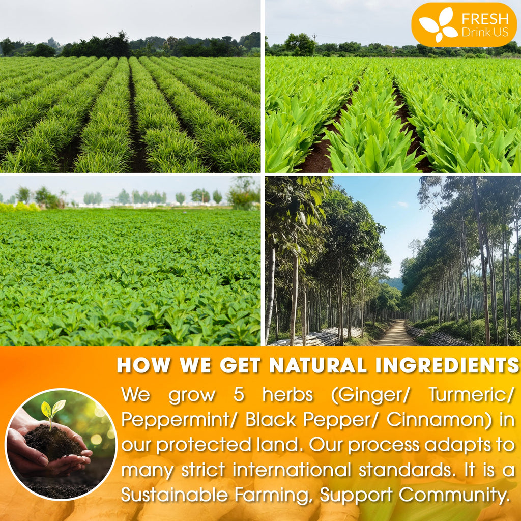 Anti-Inflammaheb Loose Leaf Tea, 100% Natural from Ginger, Turmeric, Peppermint, Black Pepper, Cinnamon