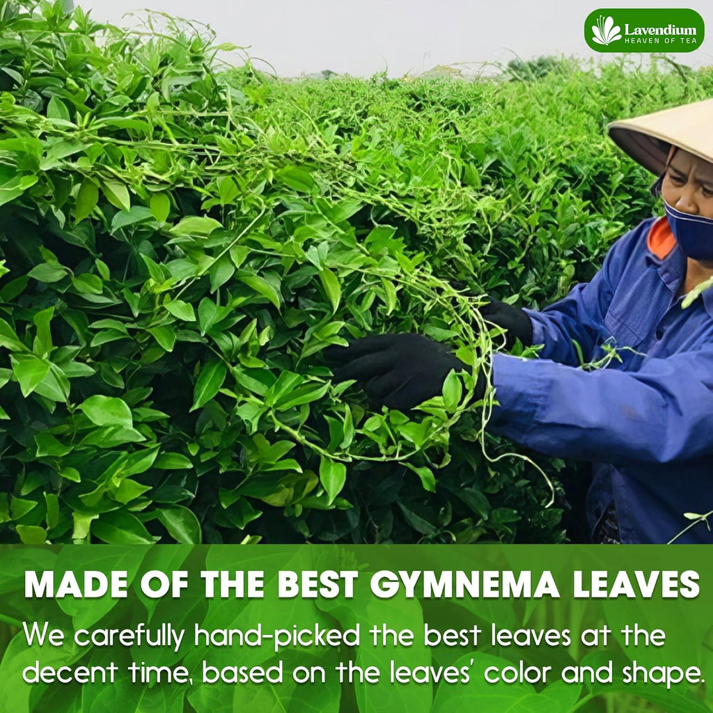 Premium Gymnema Leaf Tea Bags for Diabetics, 100% Natural & Pure from Gymnema Leaves.