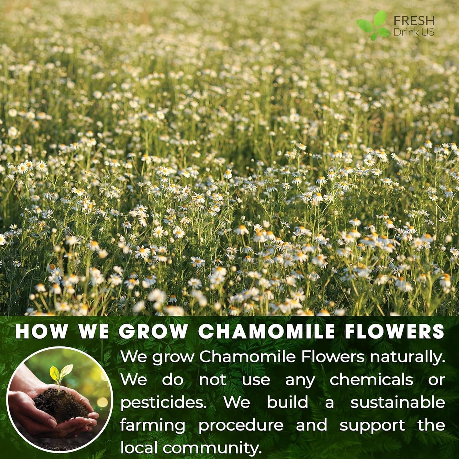 Chamomile Tea Bags, 100% Natural Chamomile, Freshly Picked, Naturally Dried Chamomile, Hand-made, Biodegradable Tea Bag