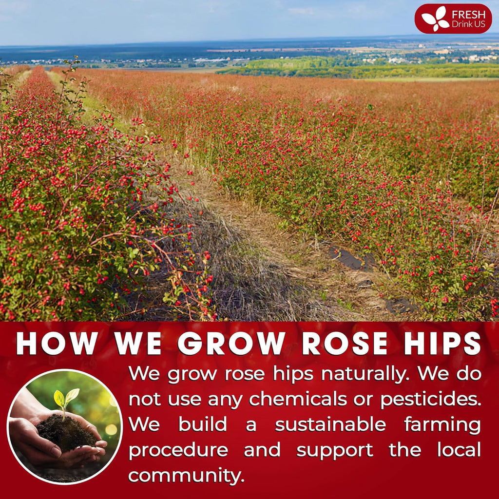 Premium Rosehip Tea Bags, 100% Natural & Pure from Rose Hip Fruits.