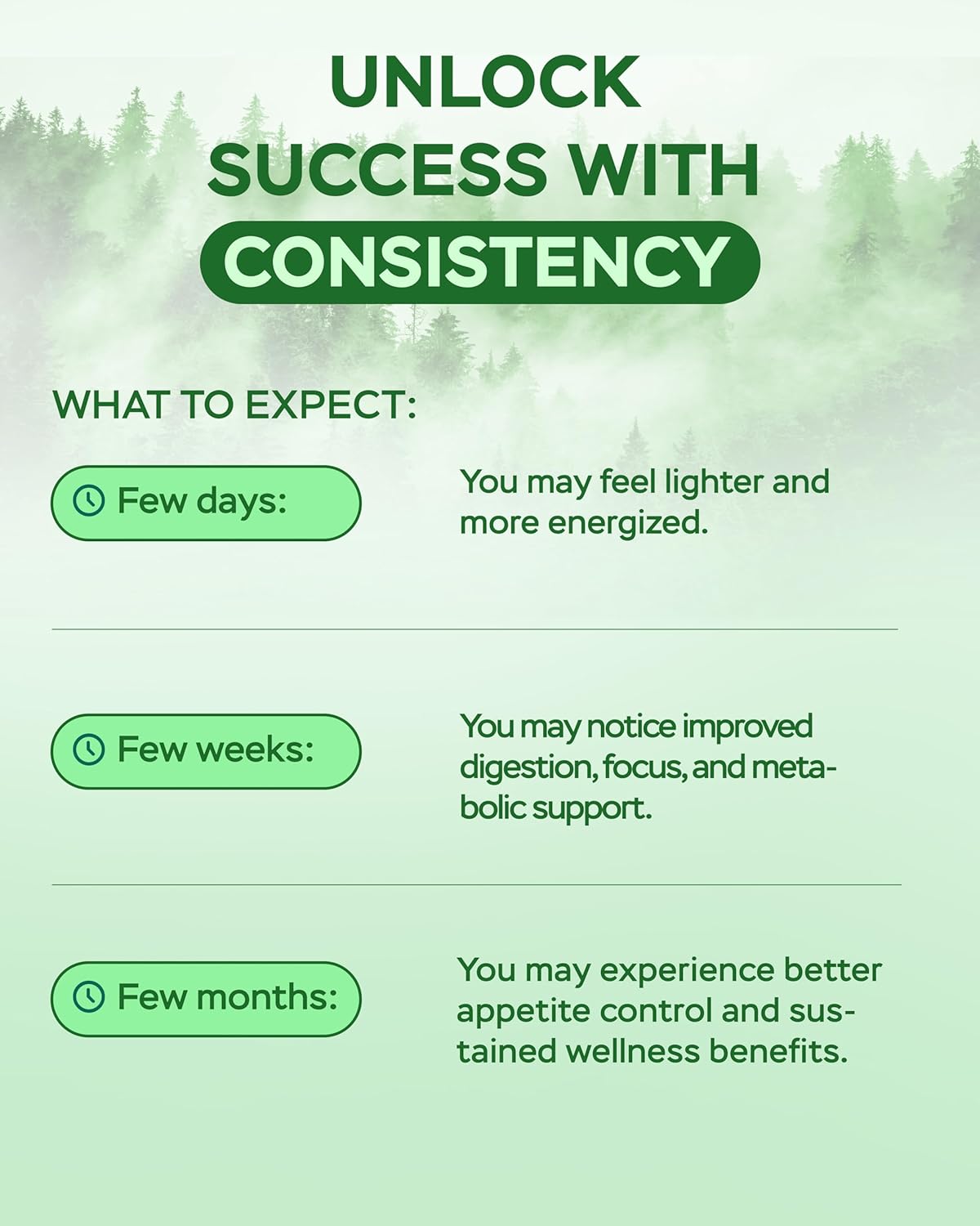 Berberine HCL Supplement - 60 Capsules