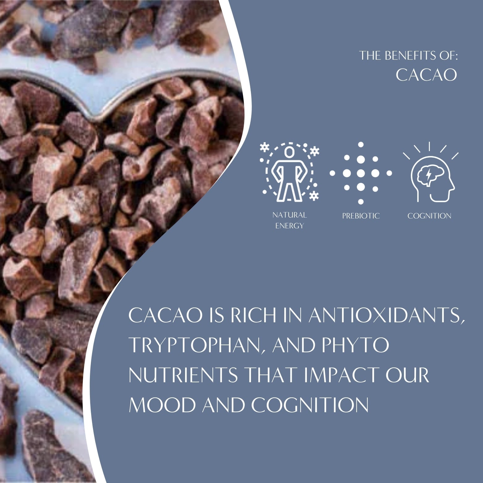 Dark Chocolate Prebiotic SuperBoost Herbal Coffee