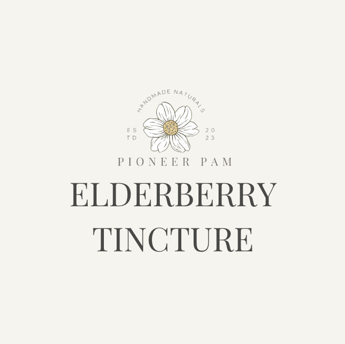 Elderberry Tincture: Immune System Support