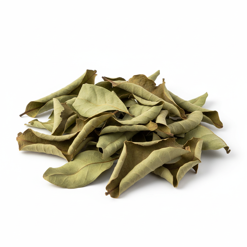 Nuestra Salud hoja de Guanabana/ soursop leaves