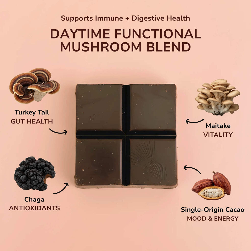 Daytime Immunity Mushroom Chocolates with Turkey Tail, Maitake, & Chaga
